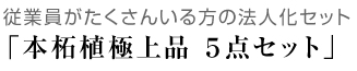 本柘植極上　法人印鑑　5点セット