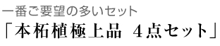 本柘植極上　法人印鑑　４点セット