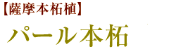 薩摩本柘植 銀行印「パール本柘植」